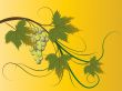 grape brunch
