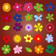 colorful spring flowers