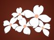 White flowers background