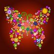 spring flower butterfly