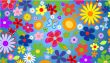 Spring flowers