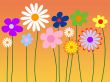 Abstract floral background
