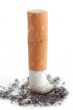 Cigarette butt