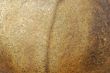 Stone texture