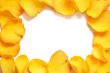 Blank white gift card on a bed of yellow rose petals