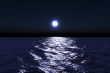 Moonlight