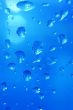 Blue water with bubbles
