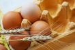 Eggs and wheat