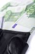 leather purse and euro