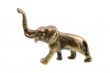 elefant