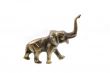 elefant