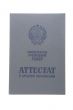school certificate on white