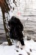little girl in winter