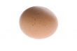 Yellow egg