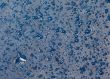 Wet dark blue texture