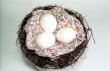 Eggs in the nest
