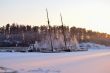 Frozen Boat