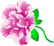 Spring Flower