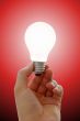 Bulb