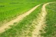 Dirtroad