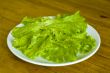fresh lettuce