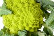romanesco