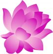 Lotus Flower