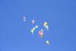 Colorful balloons