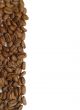 Coffee Beans.