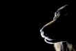 dog on black background
