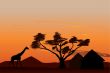 Sunset in Africa