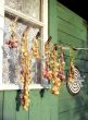 Onion and darts in front of village building