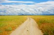 field road