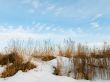 Landscape in winter