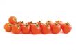 tomatos