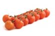 tomatos