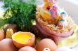 Eggs and chickens