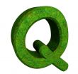 3d letter Q in green grass