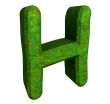 3d letter H in green grass