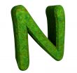 3d letter N in green grass
