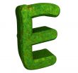 3d letter E in green grass