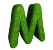 3d letter M in green grass