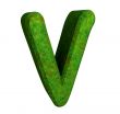 3d letter V in green grass