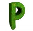 3d letter P in green grass