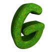 3d letter G in green grass