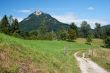 Road among meadows under the mountain