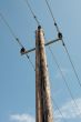 electric pillar