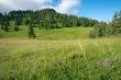 Hills