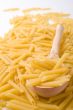 raw italian macaroni