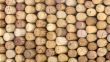 Cork of vine
